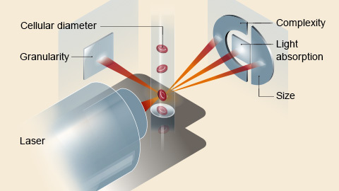 اجزا، ساختار، مشکلات رایج + راه‌حل، و نکات نگهداشت